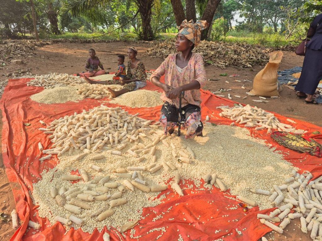 Meta Théthé : quand le travail agricole rime avec dignité et indépendance