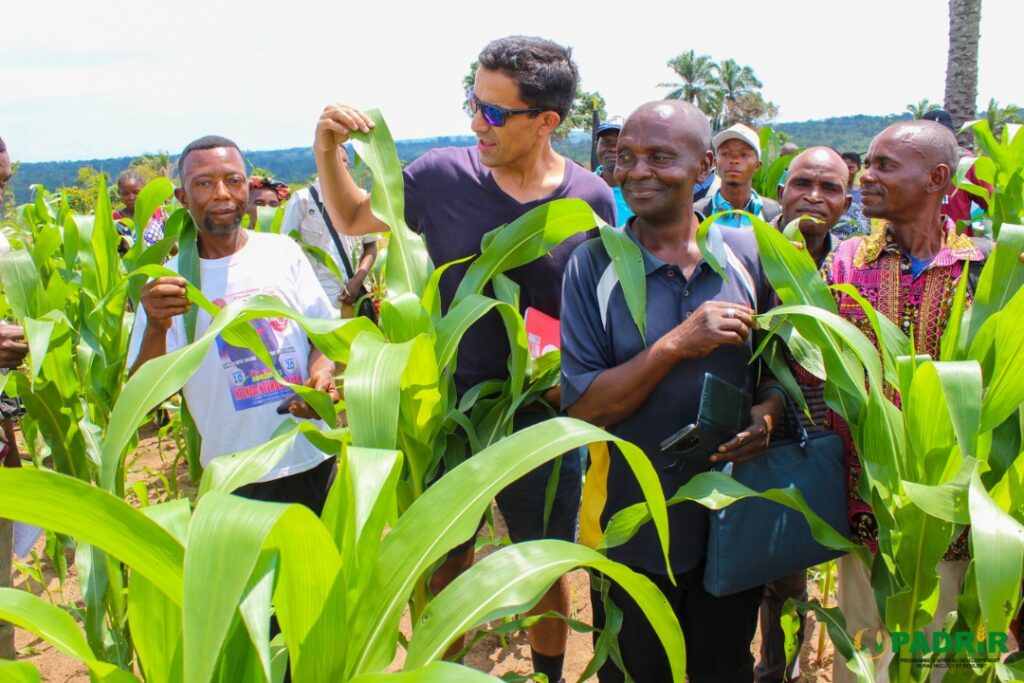 Transformation Agricole : Le PADRIR mise sur la « Gestion des Savoirs » pour booster la production agricole au Kasaï Central, Kasaï Oriental, Maniema, Lomami.